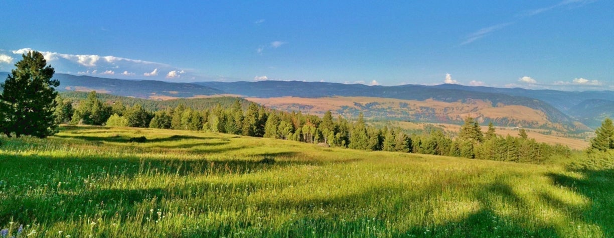 Spring time on the China Ridge Trails in Princeton BC