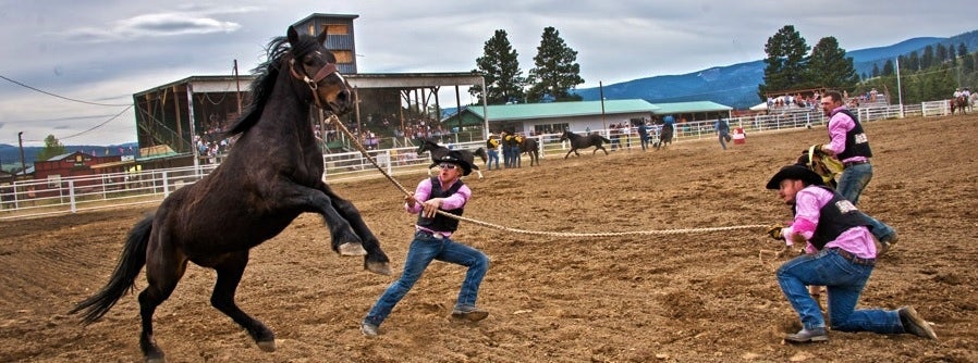 The excitement at the Princeton, BC Rodeo